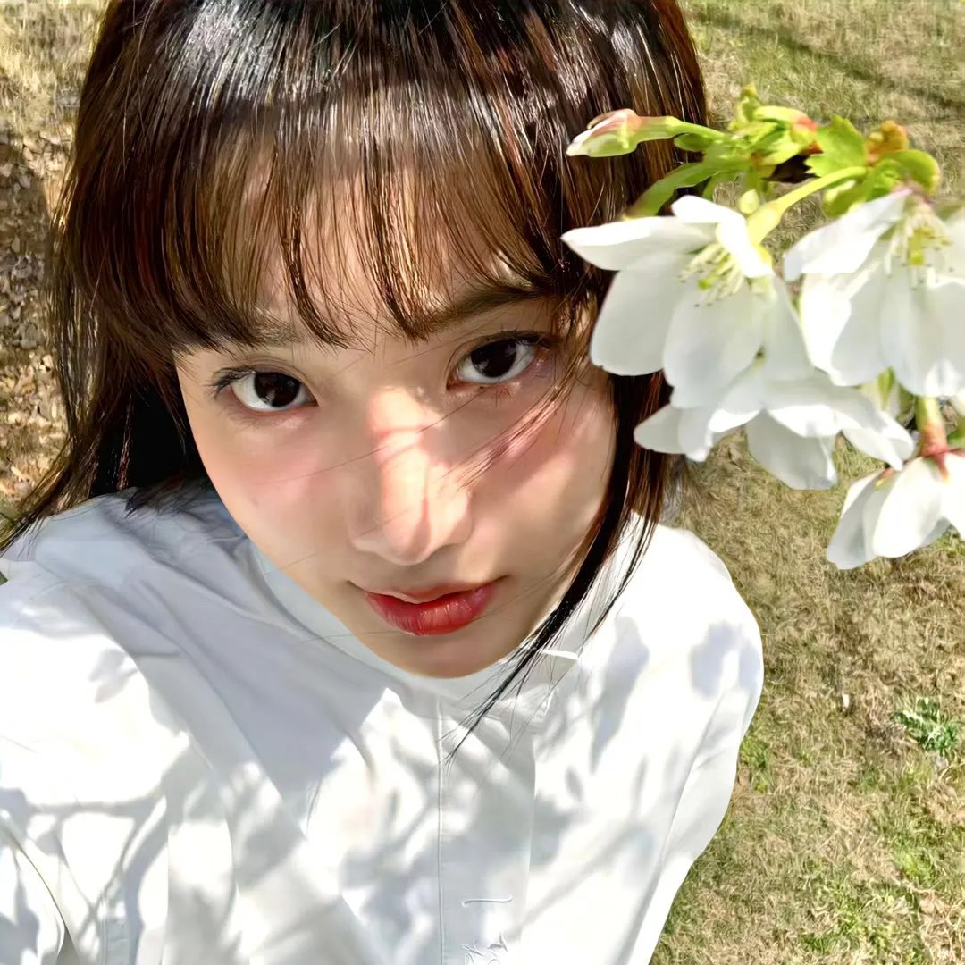 房子的故事