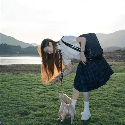 灰姑娘的全新冒险